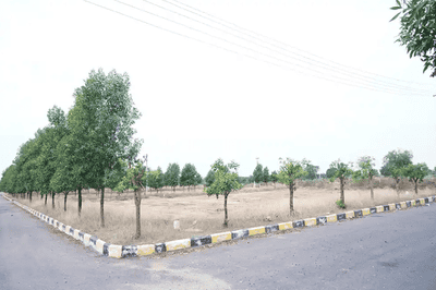 Project Image of 1620.0 - 1800.0 Sq.ft Residential Plot Plot for buy in Lighthouse Pharma Green City