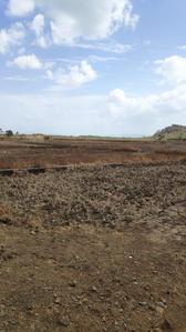 Project Image of 1000.0 - 10000.0 Sq.ft Residential Plot Plot for buy in Plotwale Ranjanpada