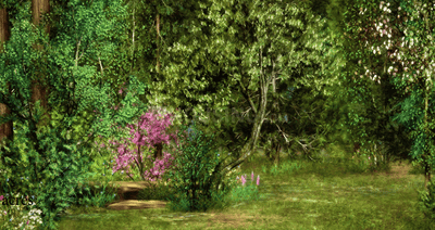 Project Images