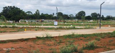 Project Image of 900.0 - 1500.0 Sq.ft Residential Plot Plot for buy in Space Soahan Serenity