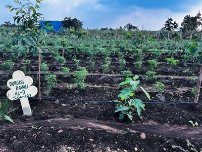 Project Image of 5445.0 - 43560.0 Sq.ft Residential Plot Plot for buy in Lotus Mana Polam