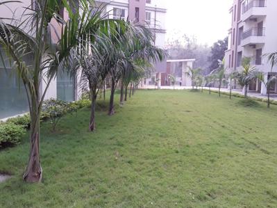 Project Image of 1052.0 - 1428.0 Sq.ft 3 BHK Apartment for buy in Aster Gardens