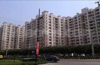 Project Image of 270 Sq.ft Residential Plot / Land for sale in Sector 49 for Rs. 90450000