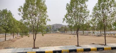 Project Image of 1134.0 - 2160.0 Sq.ft Residential Plot Plot for buy in Land Sai Akshiktha Eastern Meadows