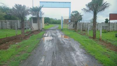 Project Image of 0.0 - 1200.0 Sq.ft Residential Plot Plot for buy in Regal Avenue