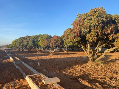 Project Image of 5178.0 - 11433.0 Sq.ft Residential Plot Plot for buy in PK Mango Nest Farmlands