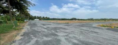 Project Images