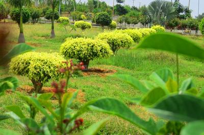 Project Image of 1200.0 - 5400.0 Sq.ft Residential Plot Plot for buy in Rashi Gateway