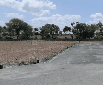 Project Images