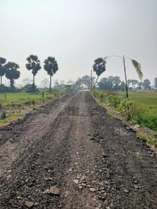 Project Image of 720.0 - 2880.0 Sq.ft Residential Plot Plot for buy in Alisha Blue Heaven Plot