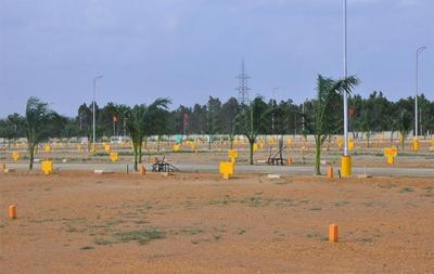 Project Image of 1503.0 - 4500.0 Sq.ft Residential Plot Plot for buy in Peram Aditya Ankura