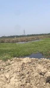 Project Image of 720.0 - 1440.0 Sq.ft Residential Plot Plot for buy in South City Sudarshan Abasan