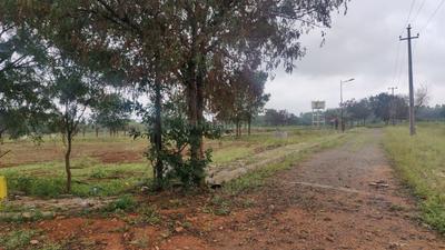 Project Image of 1800.0 - 3600.0 Sq.ft Residential Plot Plot for buy in CK Infini Breeze County