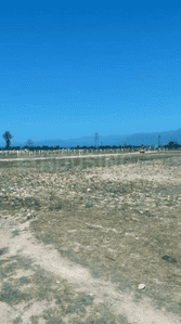 Project Image of 900.0 - 4500.0 Sq.ft Residential Plot Plot for buy in AS Chharba Homes