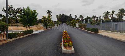 Project Image of 1162.0 - 1477.0 Sq.ft Residential Plot Plot for buy in Renaissance Marigold Meadows