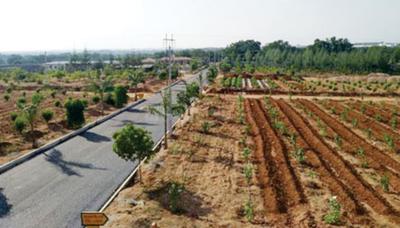 Project Image of 1319.98 - 2514.56 Sq.ft Residential Plot Plot for buy in Sri Diamond City Phase 1