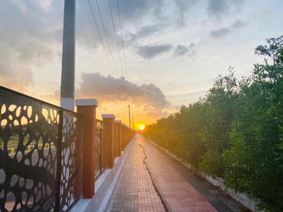 Project Image of 1800.0 - 5400.0 Sq.ft Residential Plot Plot for buy in Spalena Phase 1