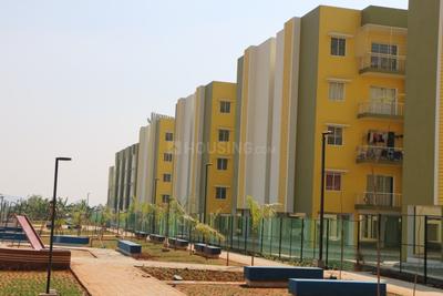 Project Image of 672.0 - 1459.0 Sq.ft 1 BHK Apartment for buy in Rakindo Orchids