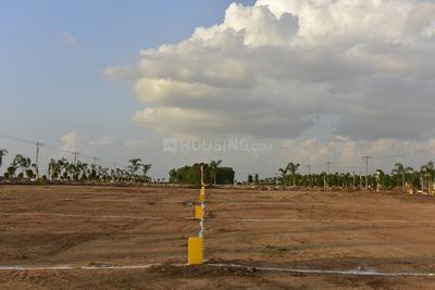 Project Image of 1302.0 - 6028.0 Sq.ft Residential Plot Plot for buy in AMR Future City