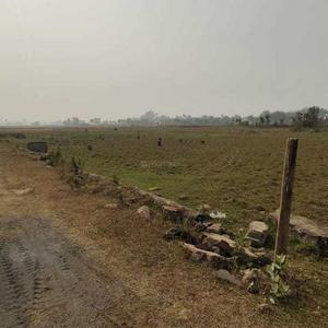 Project Image of 1440.0 - 3600.0 Sq.ft Residential Plot Plot for buy in Shrishti Nagar