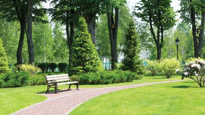 Project Image of 1750 Sq.ft 3 BHK Apartment / Flat for sale in Nerul for Rs. 29000000