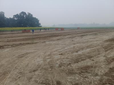 Project Image of 800.0 - 2000.0 Sq.ft Residential Plot Plot for buy in Bargad Sarju Vihar