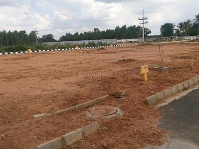 Project Image of 1200.0 - 1500.0 Sq.ft Residential Plot Plot for buy in VSG Nature Valley