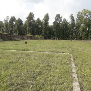 Project Image of 0.0 - 899.97 Sq.ft Residential Plot Plot for buy in Sarahna Defence Colony Evergreen City