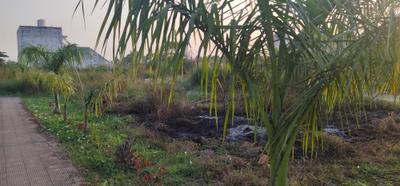 Project Image of 635.0 - 1209.0 Sq.ft 2 BHK Duplex for buy in Satguru New Raipur Residency