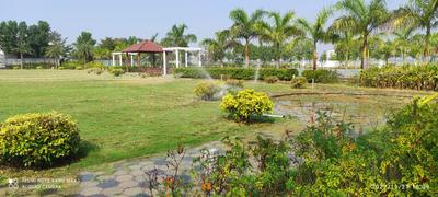 Project Image of 1420.3 - 7688.34 Sq.ft Residential Plot Plot for buy in Sia Elite Serene Palms
