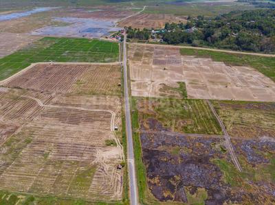 Project Image of 1000.0 - 10000.0 Sq.ft Residential Plot Plot for buy in Propzone Plots In Punade