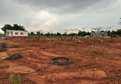 Vision Siri Vanam Plot 3