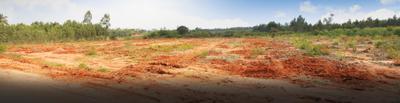 Project Image of 600.0 - 4000.0 Sq.ft Residential Plot Plot for buy in M and M Krishna Greens Eastwind