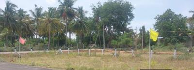 Project Images