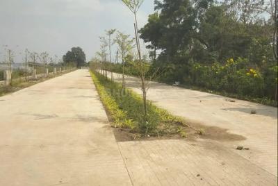 Project Image of 0.0 - 1500.0 Sq.ft Residential Plot Plot for buy in Haldenia Goyal Hills