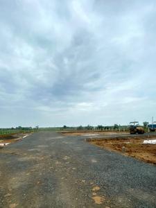 Doctors Green Grounds Internal Roads & Footpaths 1