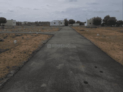 Project Images