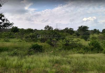 Project Image of 2250.0 - 4500.0 Sq.ft Residential Plot Plot for buy in Narne East City