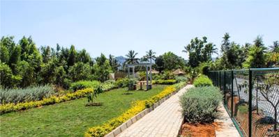 Project Image of 700.0 - 4610.0 Sq.ft Residential Plot Plot for buy in Citrus Motown