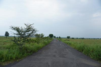 Project Image of 1205.56 - 7420.21 Sq.ft Residential Plot Plot for buy in 4 Pillars Central Cost City