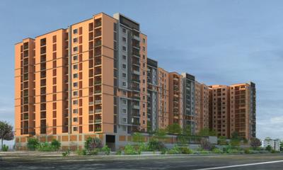 Coevolve Florenza Elevation 2