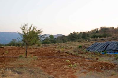 Project Image of 2353.0 - 18830.0 Sq.ft Residential Plot Plot for buy in Elysian Phuloraa