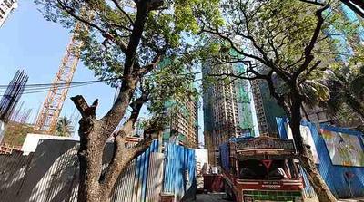 Project Image of 824.73 - 915.9 Sq.ft 3 BHK Apartment for buy in S D Aubburn Wing A