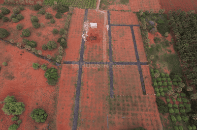 Project Images