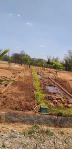 Project Image of 5990.0 - 16335.0 Sq.ft Residential Plot Plot for buy in Adithya DMR Farms