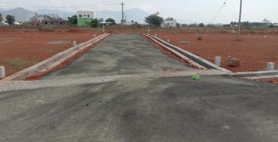 Project Images