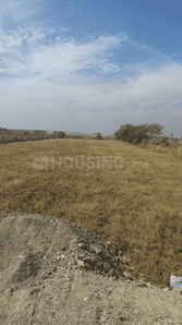 Project Image of 824.52 - 1365.83 Sq.ft Residential Plot Plot for buy in Vega Homes