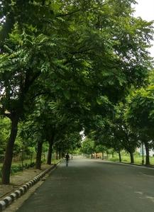Project Image of 2950.0 - 7040.0 Sq.ft 3 BHK Apartment for buy in Vera Vista 45