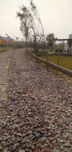 Project Image of 270.0 - 540.0 Sq.ft 1 BHK Villa for buy in Sundaram Prabhu Royal Garden