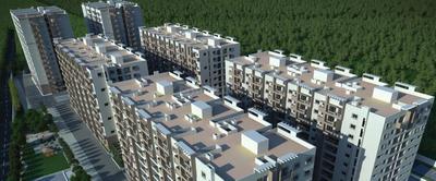 Project Images